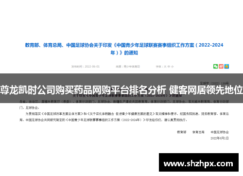 尊龙凯时公司购买药品网购平台排名分析 健客网居领先地位