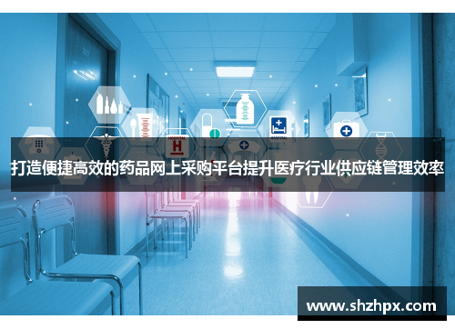 打造便捷高效的药品网上采购平台提升医疗行业供应链管理效率