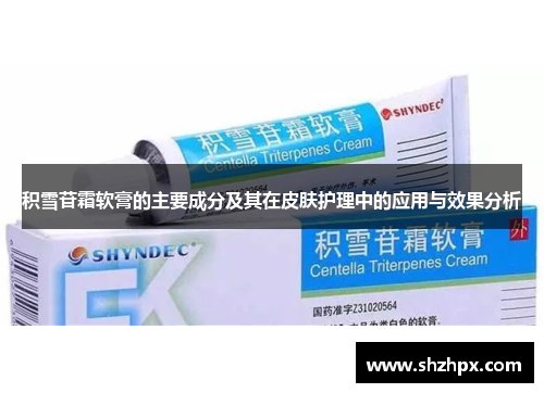 积雪苷霜软膏的主要成分及其在皮肤护理中的应用与效果分析