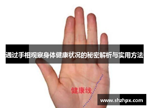 通过手相观察身体健康状况的秘密解析与实用方法